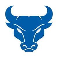 Buffalo