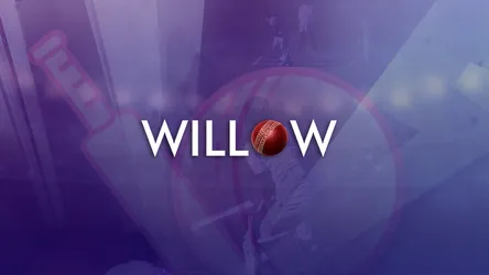 Willow Cricket
